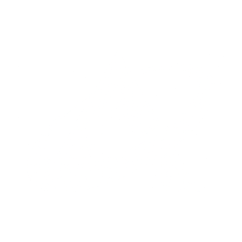 Arca Insurance
