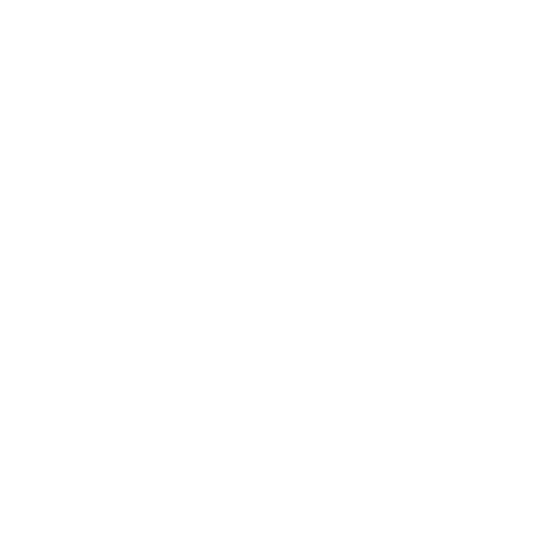 Arca Insurance
